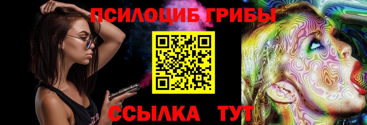 Псилоцибиновые грибы Cubensis Новотроицк